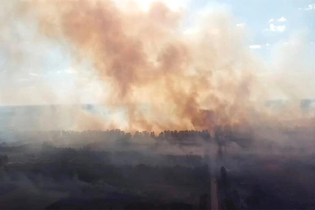 incendio-estancia-grande-concordia